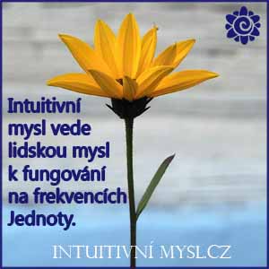 Intuitivní mysl